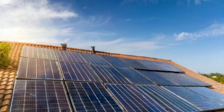 cuantas placas solares necesito para ser autosuficiente