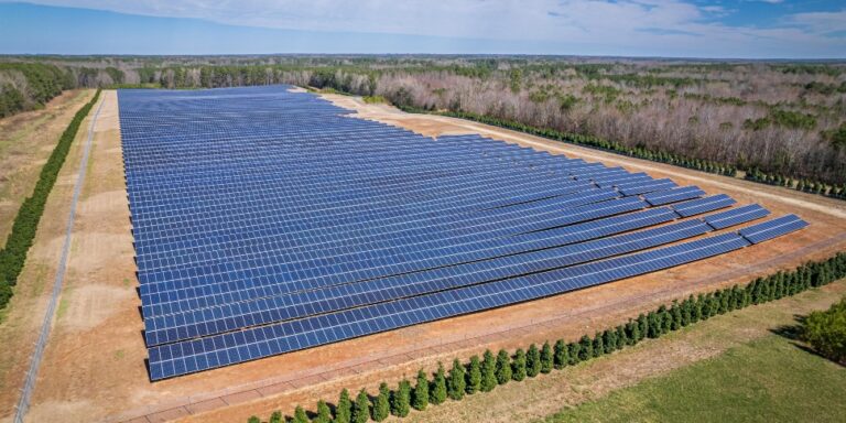 Placas solares sobre suelo rustico
